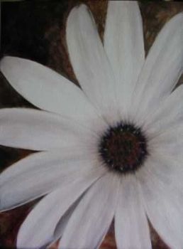 "Rain Daisy"