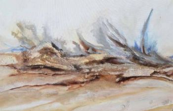 "Desert Storm"