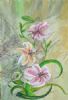 "Lively Lily"