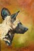 "Wild Dog Portrait"