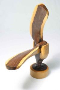"Folding Propeller"