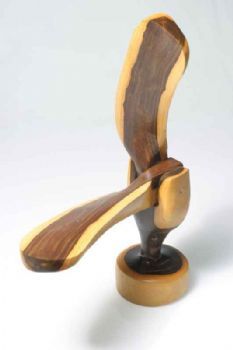 "Folding Propeller"
