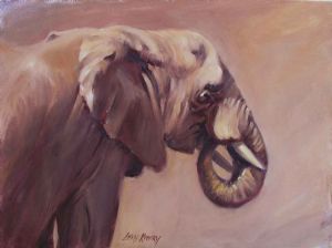 "African Elephant "