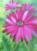 "Daisy 03"