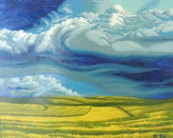 "Canola Fields"