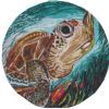 "Swimming Turtle on Round Canvas"