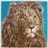 "Lion"