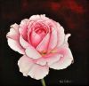 "Rose of Elegance"