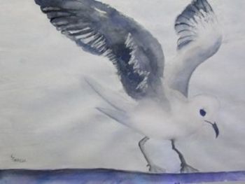 "Nelson the Seagull"