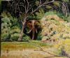 "Elephant in Riverine Forest"