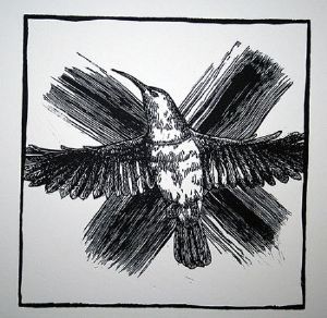 "Noughts and Crosses: Sunbird"