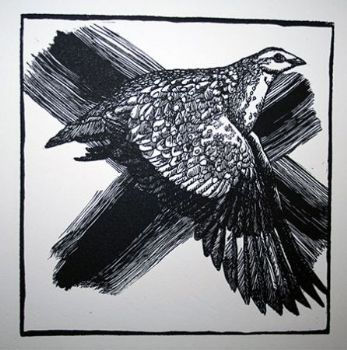 "Noughts and Crosses: Sand Grouse"