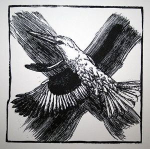 "Noughts and Crosses: Kingfisher"