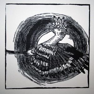 "Noughts and Crosses: Hoopoe"