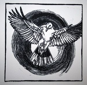 "Noughts and Crosses: Dove"