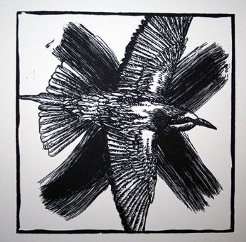 "Noughts and Crosses: Bee-eater"