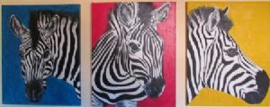 "Zebra Pop"