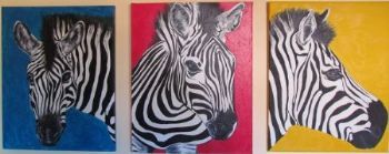 "Zebra Pop"