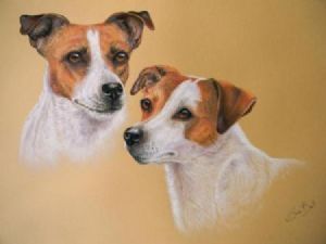 "Jack Russells"