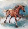 "Chestnut Arabian 1"