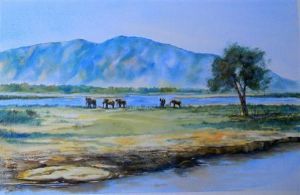 "Mana Pools near Vundu"