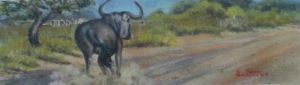 "Blue Wildebeest"