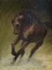 "Arab Stallion"