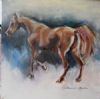 "Chestnut Arabian 2"