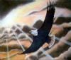 "Eagle"