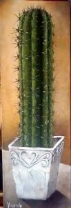 "Cactus"