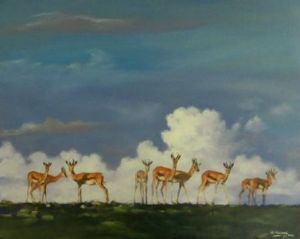 "Springbok"