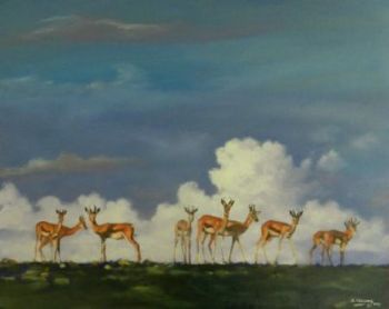 "Springbok"