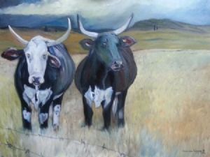"Nguni Cattle #1"