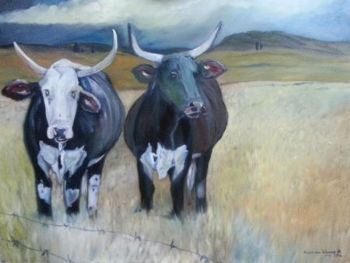 "Nguni Cattle #1"