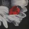 "Pieces of Color - Ladybug"
