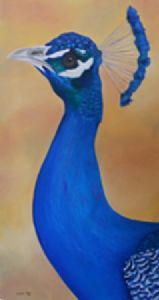 "Peacock"