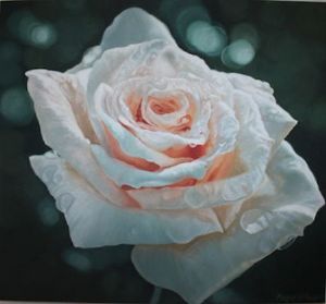 "Regal Rose"