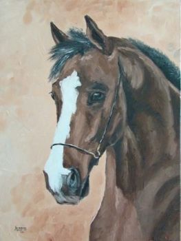 "Arab Foal Seattle Slew"