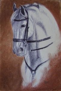 "Lippizaner Stallion"