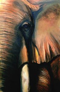 "Greeting Eye"