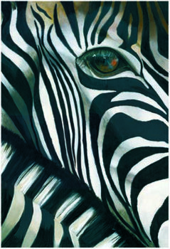 "Zebra Eye"