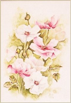 "Wild Roses"