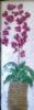 "Orchids"
