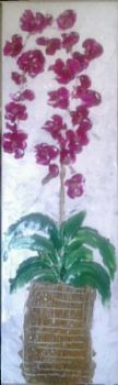"Orchids"