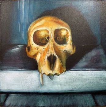 "Juvenile Baboon Skull 19"