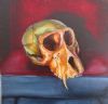 "Juvenile Baboon Skull 22"