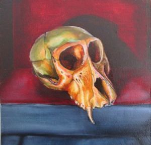 "Juvenile Baboon Skull 22"