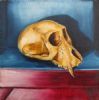 "Juvenile Baboon Skull 23"