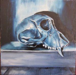 "Juvenile Baboon Skull 25"