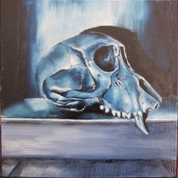 "Juvenile Baboon Skull 25"